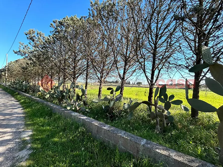Immagine 6 di Terreno residenziale in vendita  in Via Prov.le Poggiardo-Spongano a Poggiardo