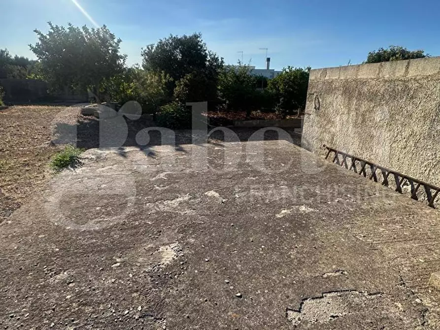 Immagine 11 di Terreno agricolo in vendita  in Contrada Salinola a Ostuni