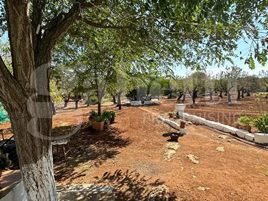 Immagine 32 di Villa in vendita  in Contrada VATO APERTO, sn a Ostuni