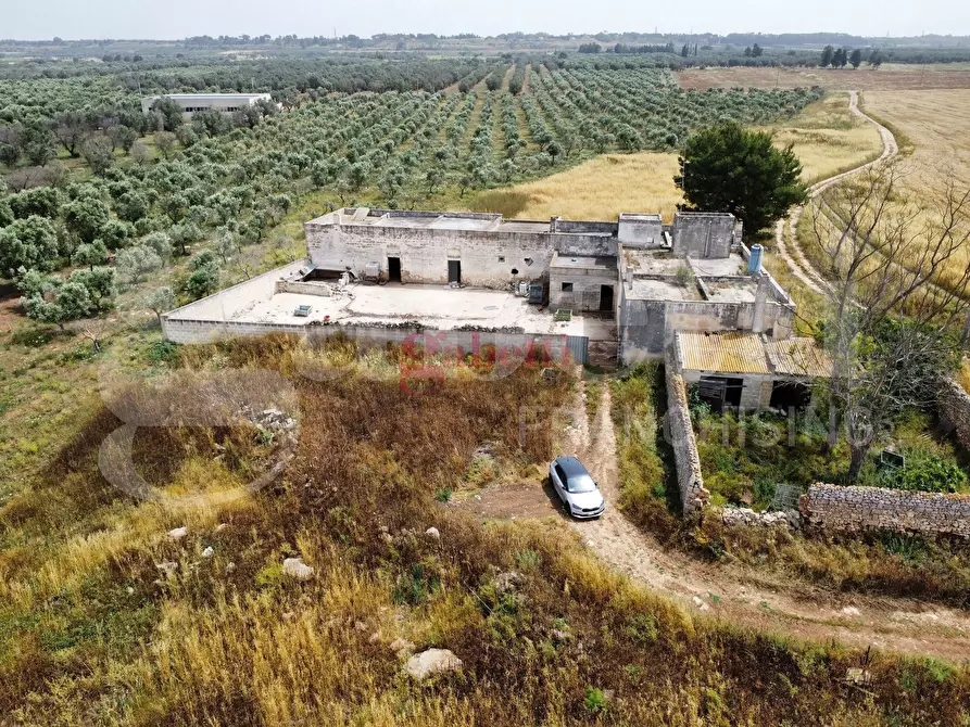 Immagine 32 di Villa in vendita  in Strada Provinciale 101, 1 a Campi Salentina