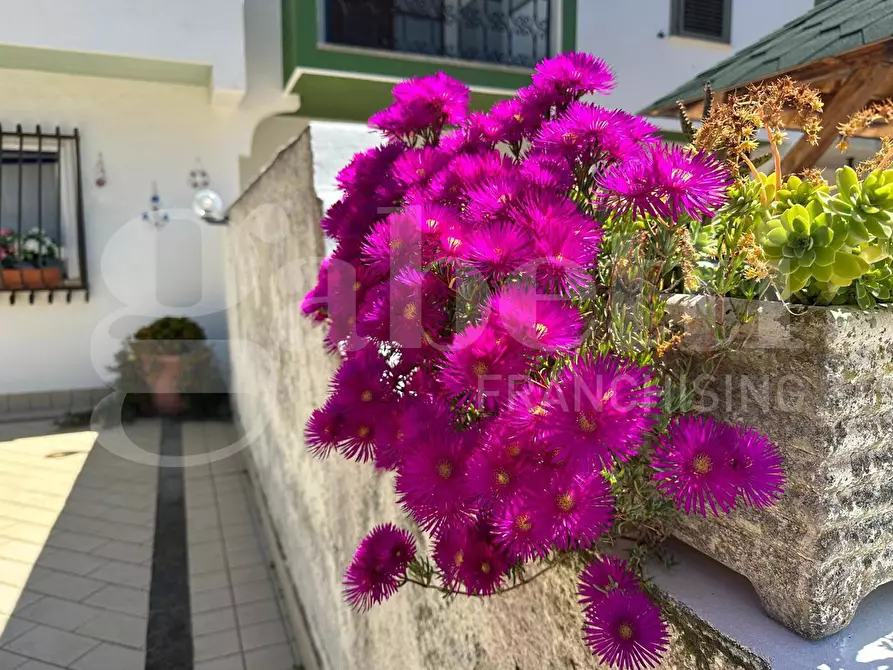 Immagine 6 di Casa trifamiliare in vendita  in Via lungomare tor san lorenzo, 57 a Ardea