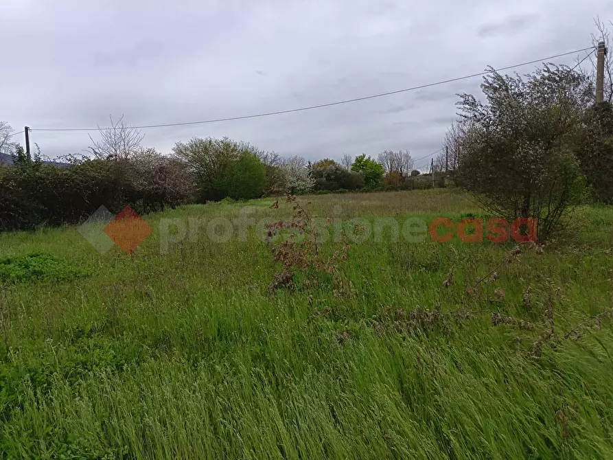 Immagine 10 di Terreno agricolo in vendita  in Strada Vicinale Ponte del Papa, snc a Anagni