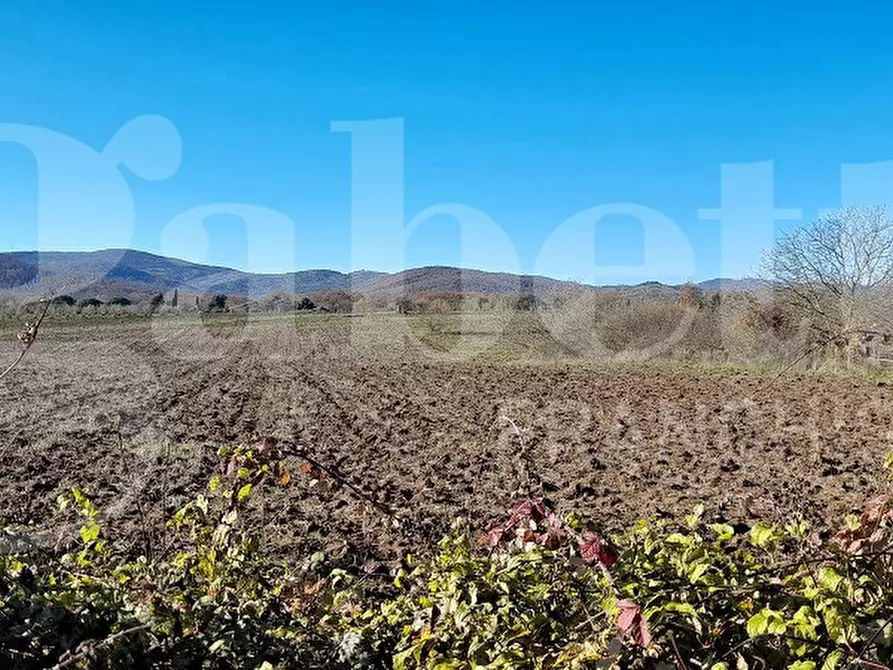 Immagine 22 di Rustico / casale in vendita  in Via DEL CONDOTTINO, 00 a Manziana