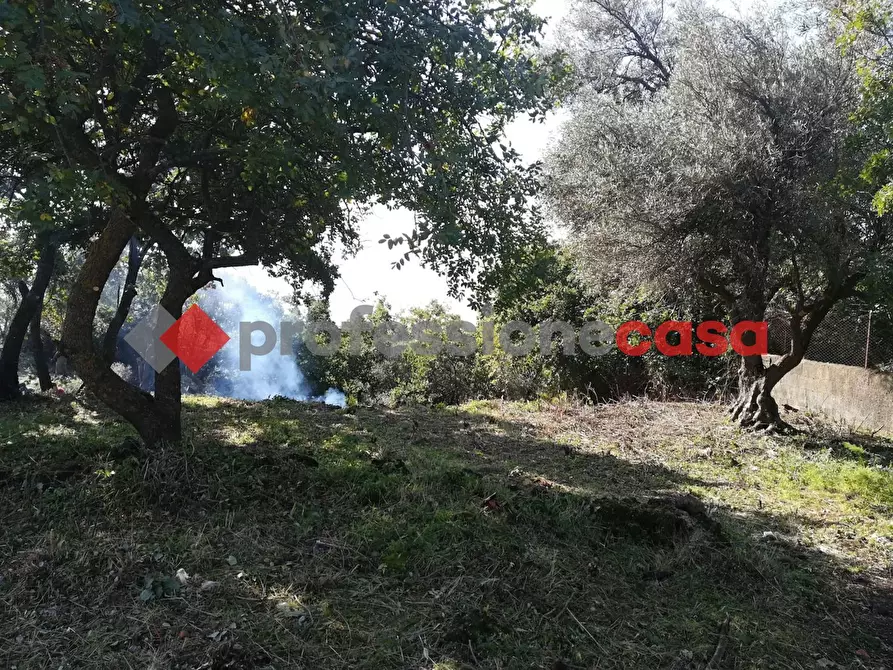Immagine 12 di Terreno agricolo in vendita  in Contrada Scorsone, SNC a Belpasso