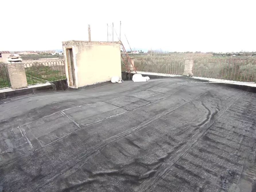 Immagine 8 di Terreno agricolo in vendita  in Via SAN ROCCO, SNC a San Severo