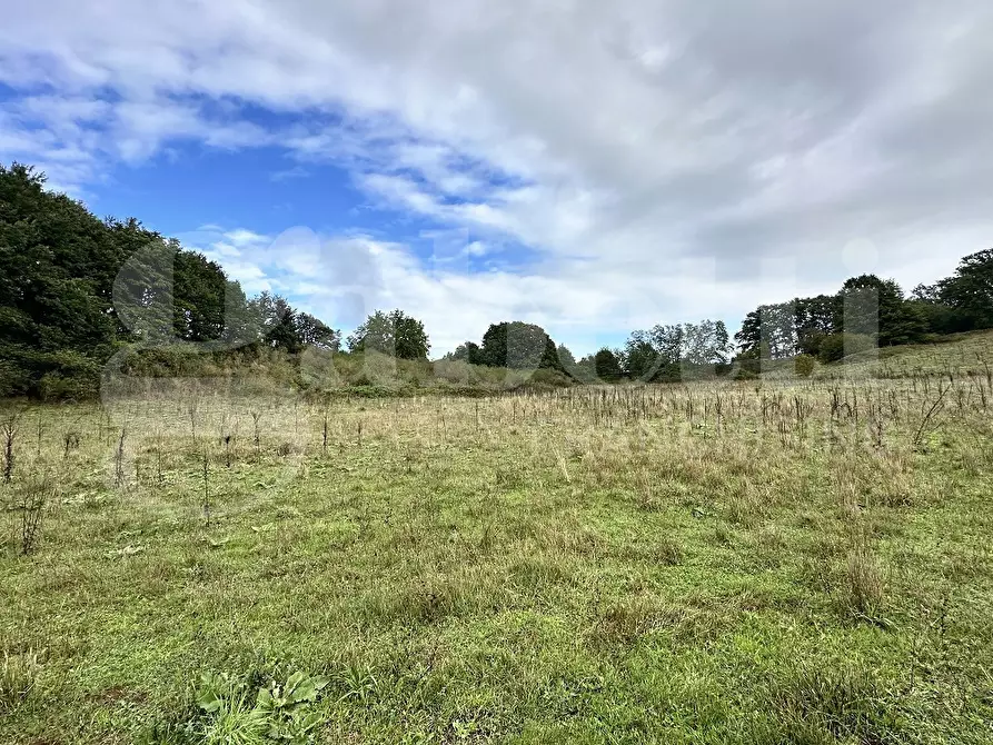 Immagine 5 di Terreno agricolo in vendita  in Via BRACCIANESE, SNC a Oriolo Romano