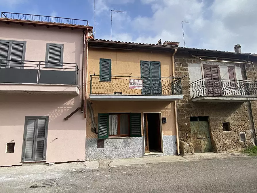 Immagine 1 di Casa indipendente in vendita  in Via XXIV Maggio, 00 a Vejano