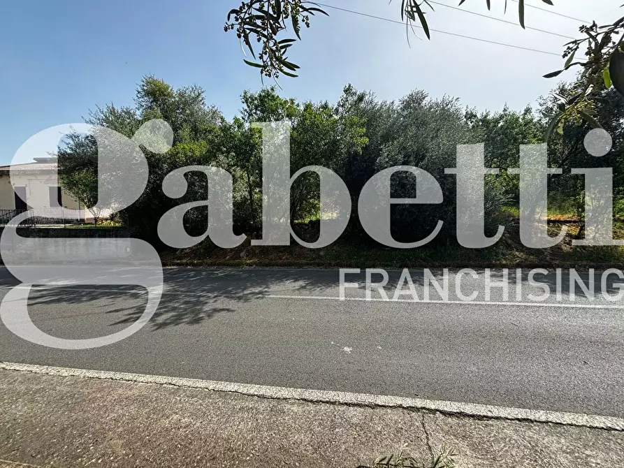 Immagine 5 di Terreno residenziale in vendita  in Via S.S 293, . a Nuxis