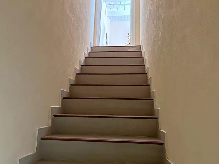 Immagine 7 di Negozio in affitto  in Via COLANGELO a San Severo