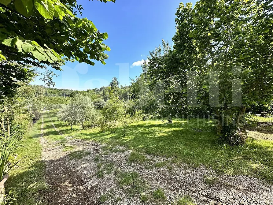 Immagine 4 di Terreno agricolo in vendita  in Via DELLA FIORA, 00 a Manziana