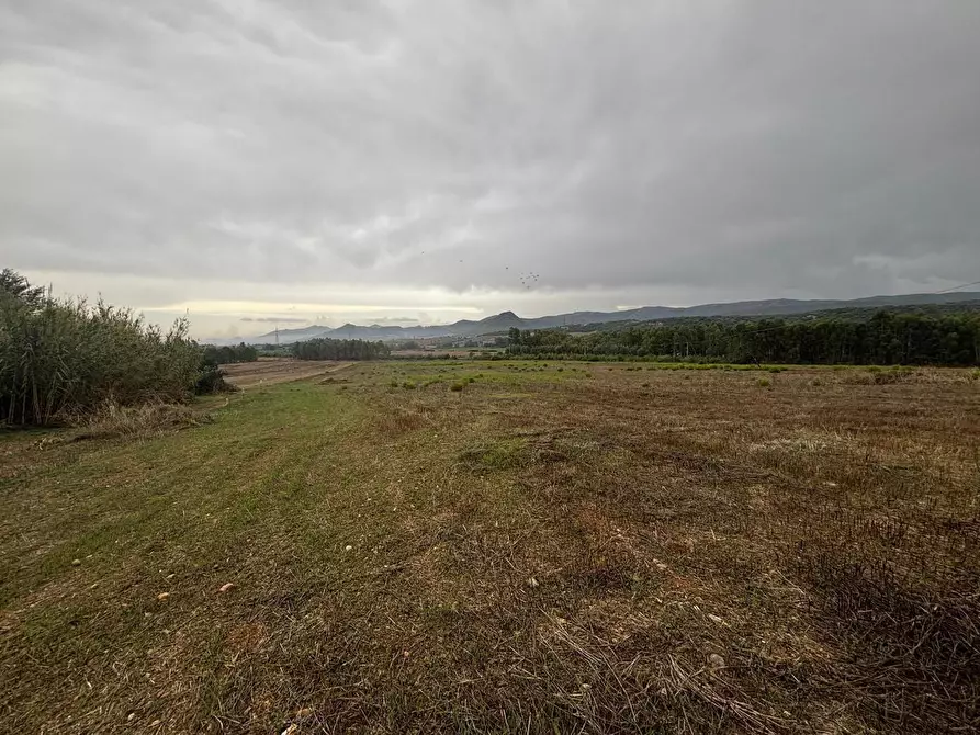 Immagine 3 di Terreno agricolo in vendita  in LocalitÃ  Tallaroga, snc a Villamassargia