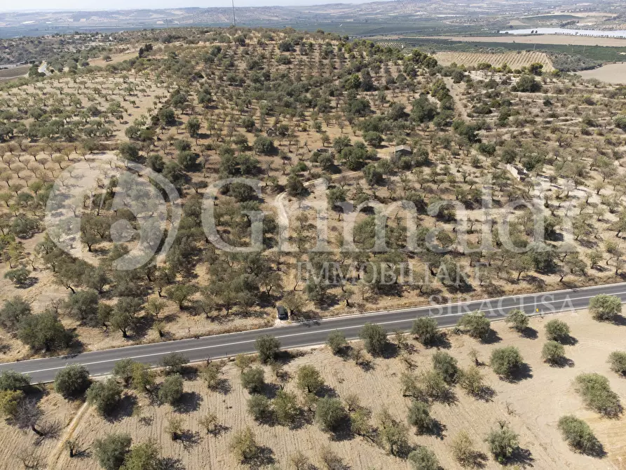 Immagine 8 di Terreno agricolo in vendita  in Via SS115, 1 a Noto
