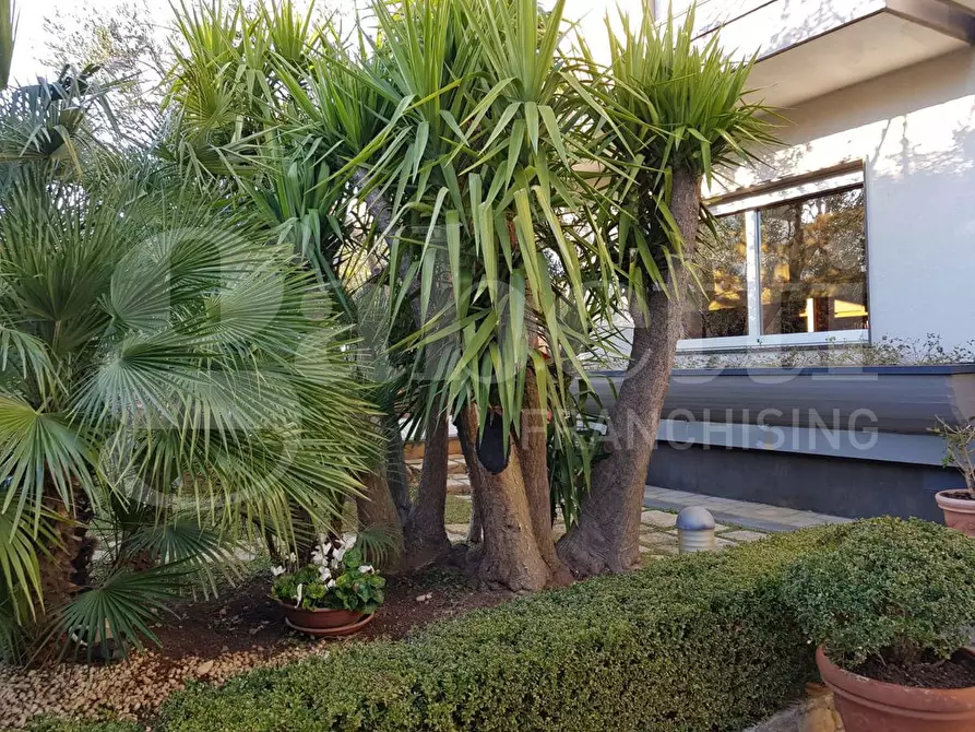 Immagine 6 di Villa in vendita  in Via Peucetia, nc a Cassano Delle Murge