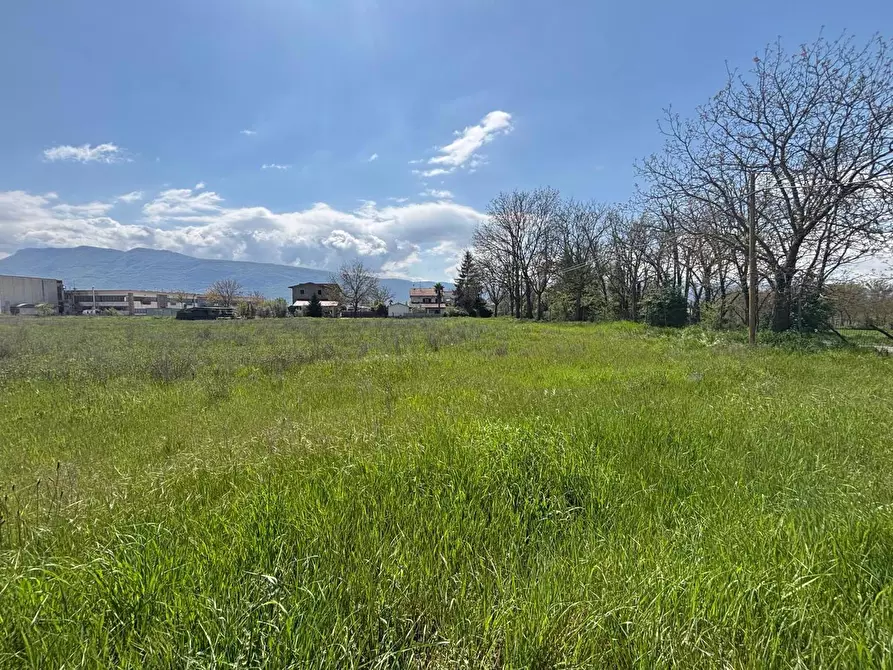 Immagine 2 di Terreno agricolo in vendita  in Via Osteria Della Fontana, 50 a Anagni