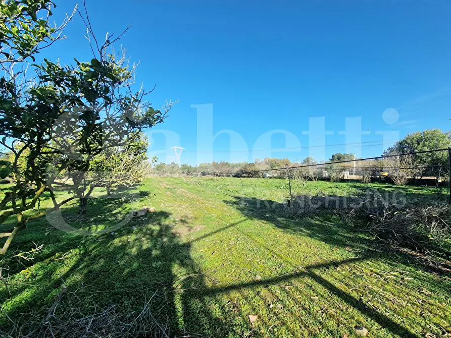 Immagine 2 di Terreno agricolo in vendita  in Via dessi, snc a Sestu