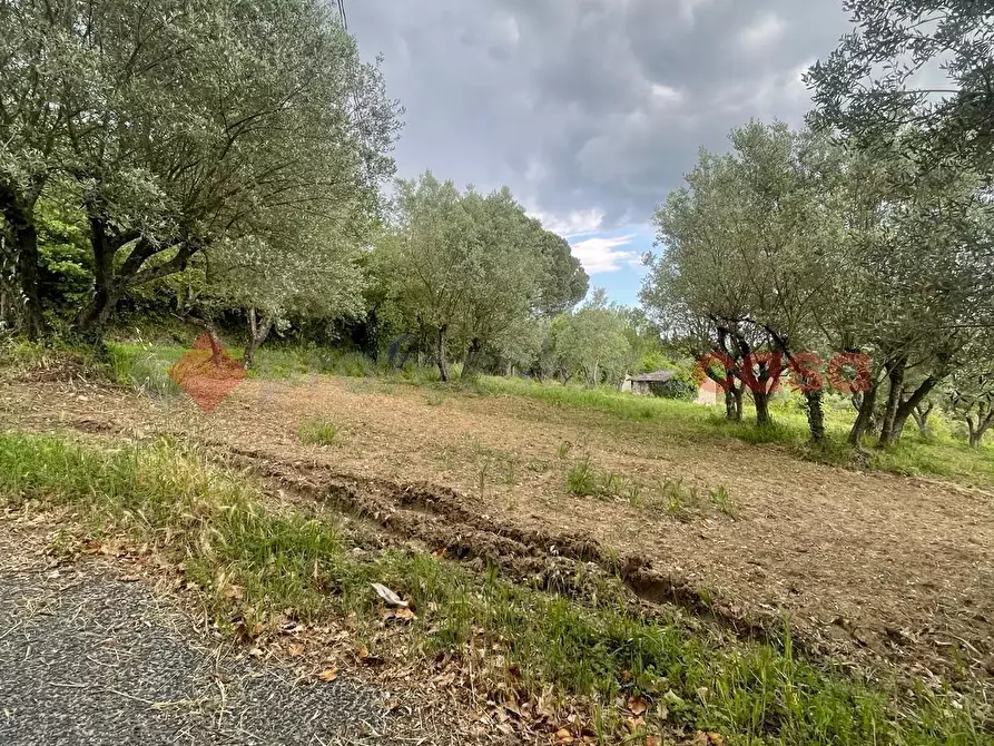 Immagine 3 di Casa indipendente in vendita  in Via paterno, snc a Anagni