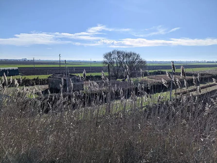 Immagine 5 di Rustico / casale in vendita  in LocalitÃ  Valcerere Dolfina, 00 a Cavarzere