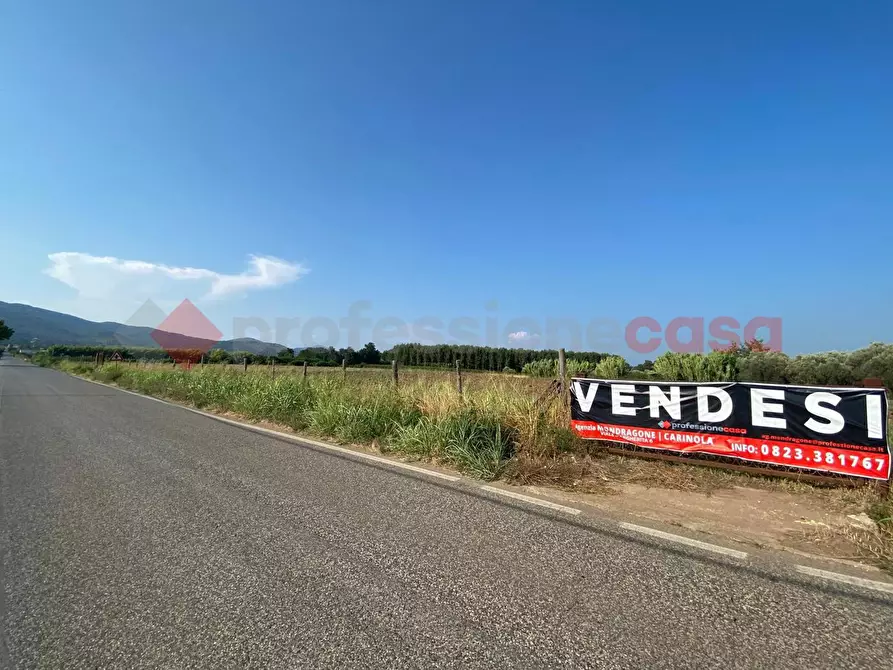 Immagine 7 di Terreno agricolo in vendita  in LocalitÃ  Starzella, SNC a Falciano Del Massico