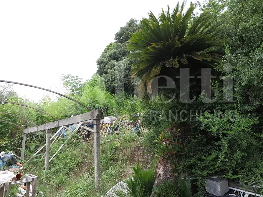 Immagine 4 di Appartamento in vendita  in Via san bortolomeo, 5 a La Spezia