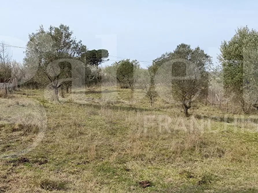 Immagine 8 di Terreno agricolo in vendita  in Via CASALE DELLE PIETRISCHE, 00 a Manziana