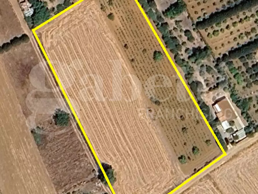 Immagine 5 di Terreno agricolo in vendita  in LocalitÃ  pintireddu, 0 a Sestu