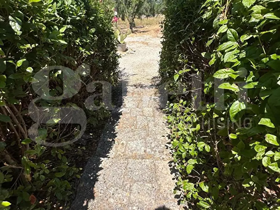 Immagine 50 di Villa in vendita  in Contrada Certosa, sn a Ostuni