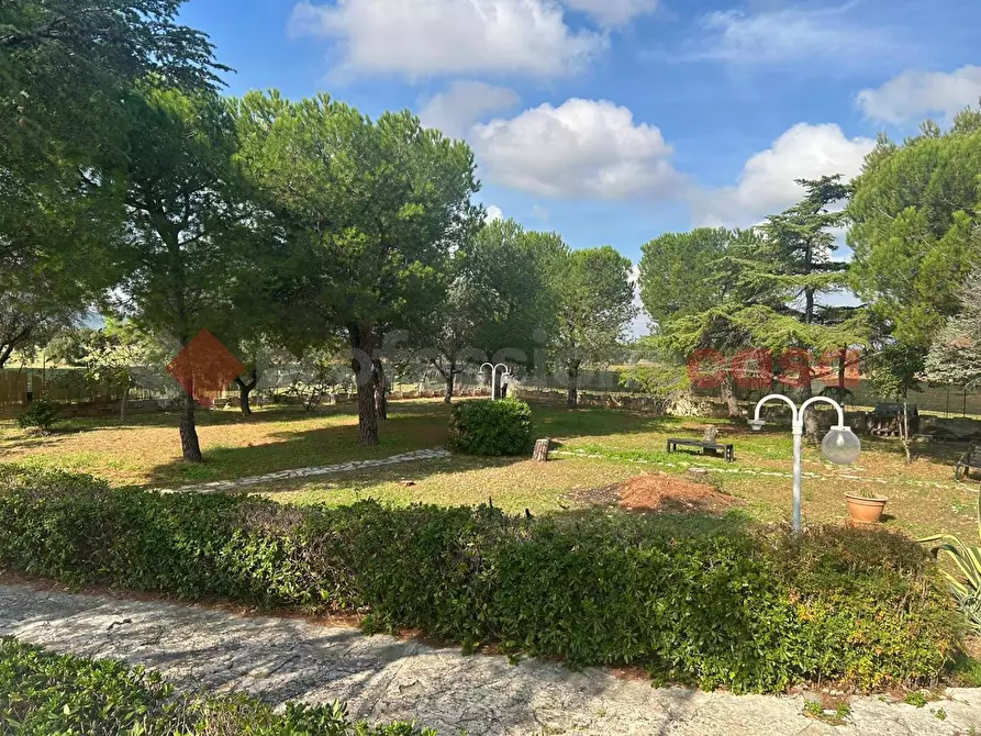 Immagine 6 di Casa indipendente in vendita  in Via CAPITOLO a Monopoli