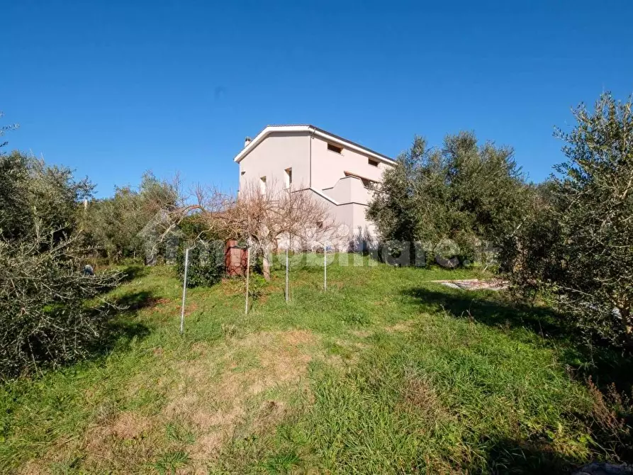 Immagine 4 di Villa in vendita  in Via DELLE MACERINE, 00 a Manziana