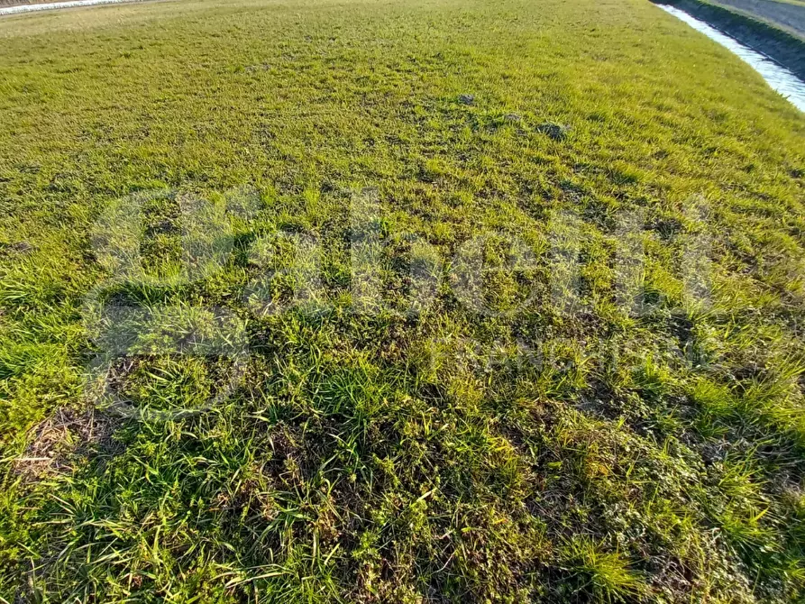 Immagine 7 di Rustico / casale in vendita  in Via SANT'ANNA - VIA CANAL DI VALLE, 00 a Chioggia