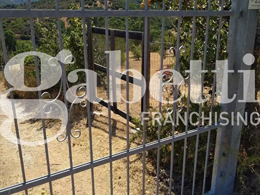 Immagine 4 di Terreno agricolo in vendita  in Via Dante Alighieri, 44 a Domus De Maria