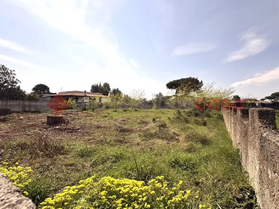 Immagine 21 di Terreno agricolo in vendita  in Via SAN FELICE CIRCEO TRAVERSA 23, 23 a Terracina