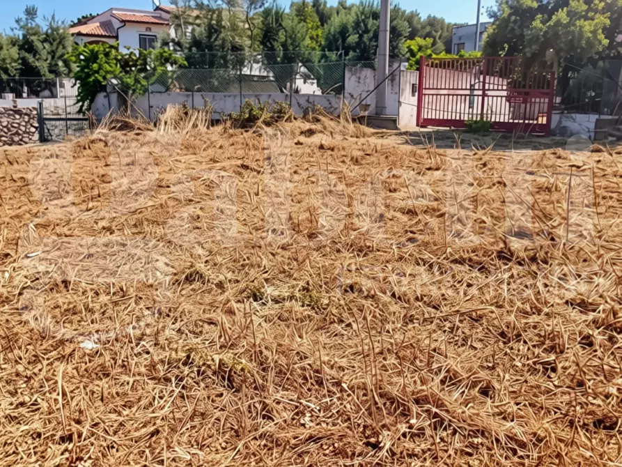 Immagine 4 di Terreno agricolo in vendita  in LocalitÃ  San Vito, s.n.c. a Gaeta