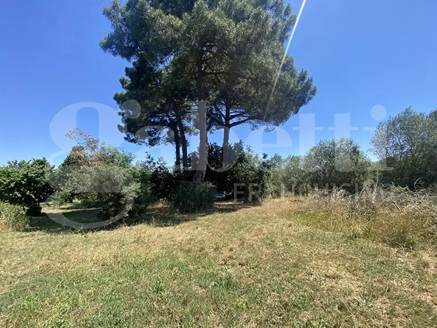 Immagine 16 di Rustico / casale in vendita  in Via DEL CONDOTTINO, 00 a Manziana