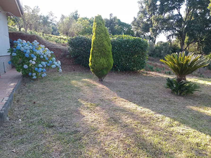 Immagine 39 di Villa in vendita  in LocalitÃ  MULUCCHINI, SNC a Amaroni