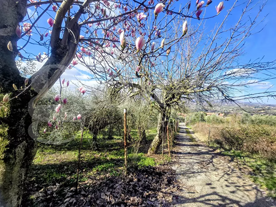 Immagine 18 di Rustico / casale in vendita  in Via Fonte del Colle, snc a Artena