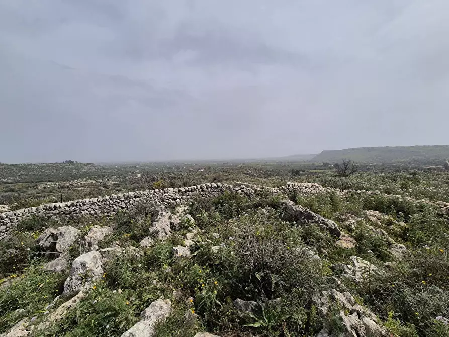 Immagine 13 di Terreno residenziale in vendita  in Contrada cugni, snc a Siracusa