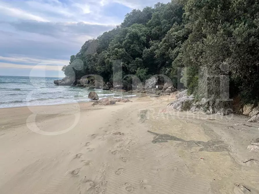 Immagine 3 di Terreno agricolo in vendita  in Via Monte a mare, s.n.c. a Gaeta