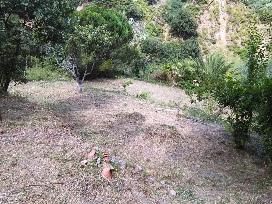 Immagine 5 di Terreno agricolo in vendita  in Via Comunale Catarratti, 106 a Messina