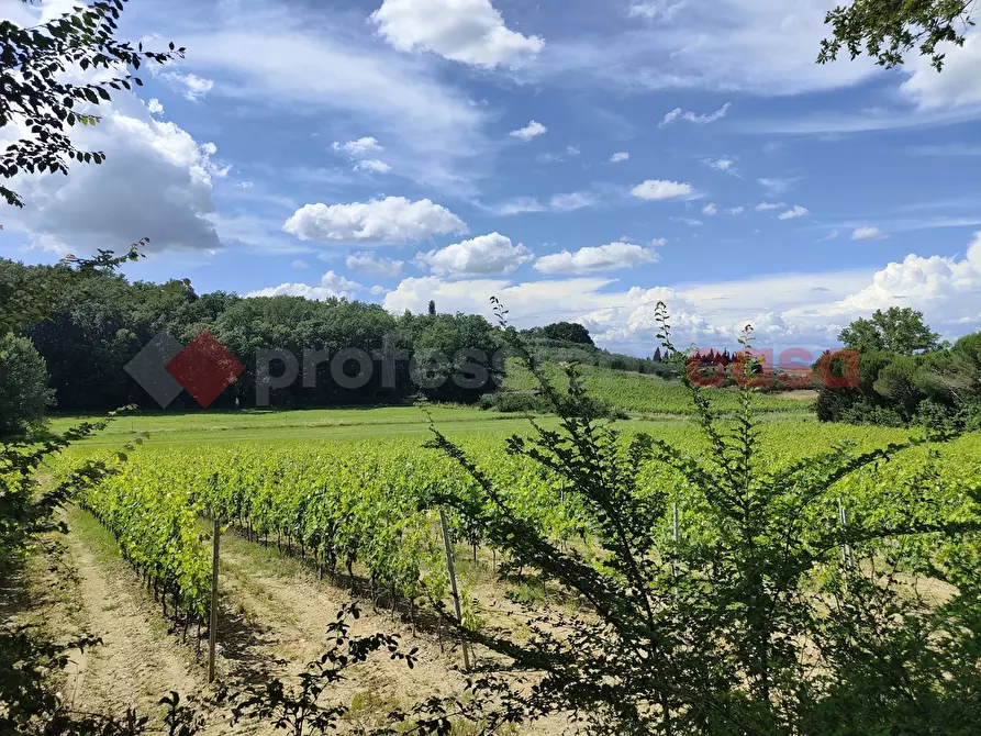 Immagine 1 di Terreno agricolo in vendita  in Via di castagneto a Empoli