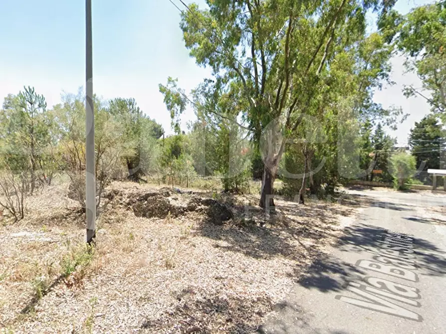 Immagine 1 di Terreno agricolo in vendita  in Via Balestrieri/ Viale Musco a Belpasso