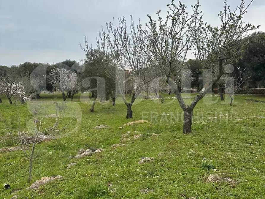 Immagine 15 di Villa in vendita  in Contrada Salinola, sn a Ostuni