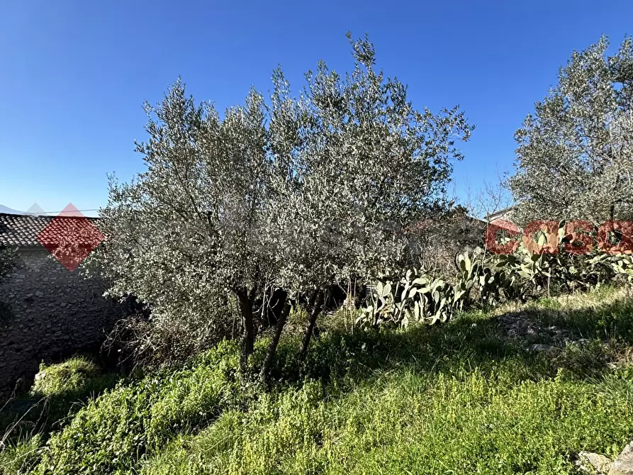 Immagine 16 di Rustico / casale in vendita  in Via Montereo, 32 a Alatri