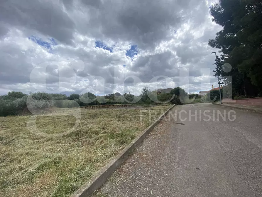 Immagine 4 di Terreno residenziale in vendita  in Via Santa Maria di Paulis, snc a Uri