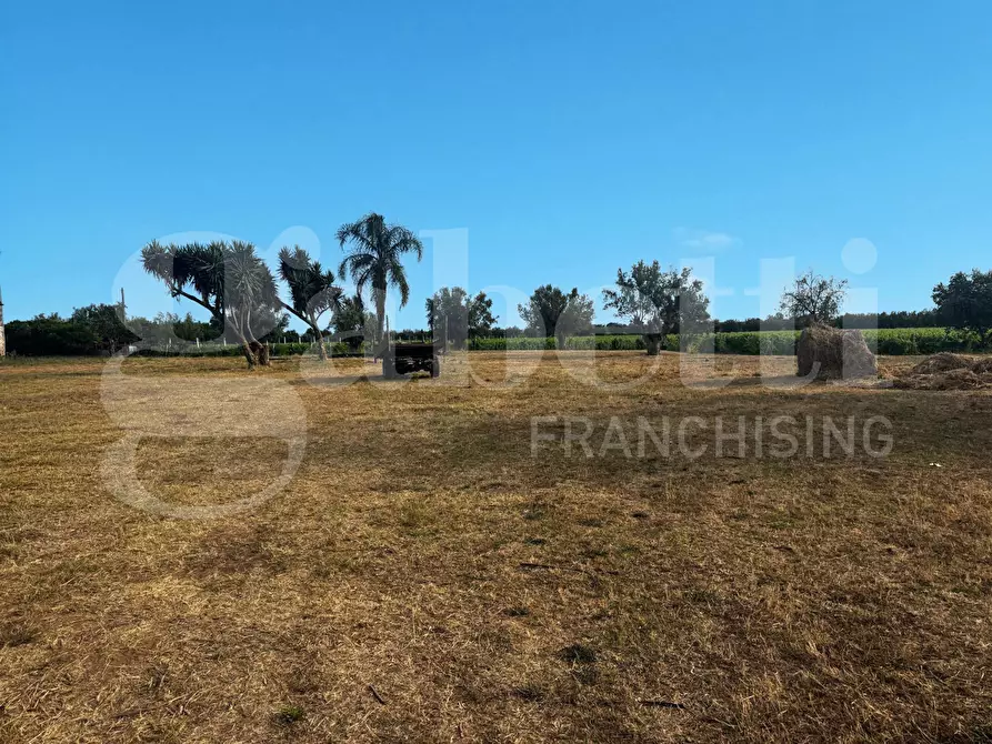 Immagine 2 di Azienda agricola in vendita  in LocalitÃ  Monticello a Pastorano