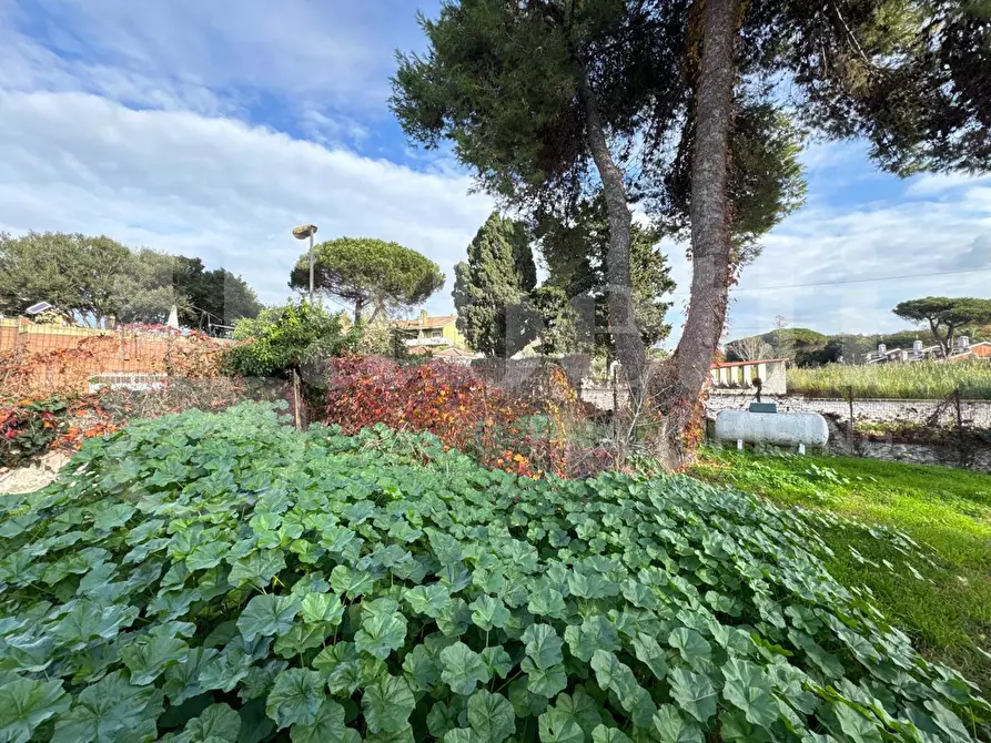 Immagine 2 di Casa bifamiliare in vendita  in Via tirso, 48 a Ardea