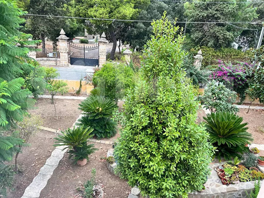 Immagine 31 di Casa bifamiliare in vendita  in Via PETUNIE, 2 a Taranto