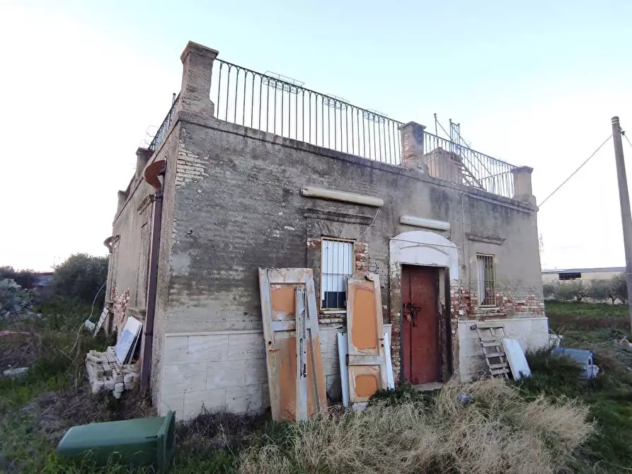 Immagine 3 di Terreno agricolo in vendita  in Via SAN ROCCO, SNC a San Severo
