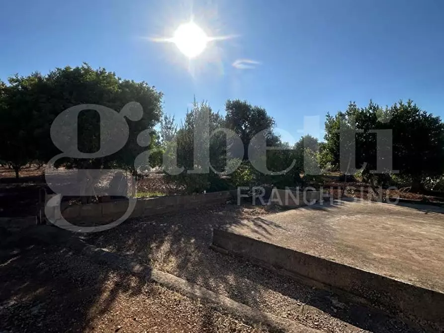 Immagine 3 di Terreno agricolo in vendita  in Contrada Salinola a Ostuni