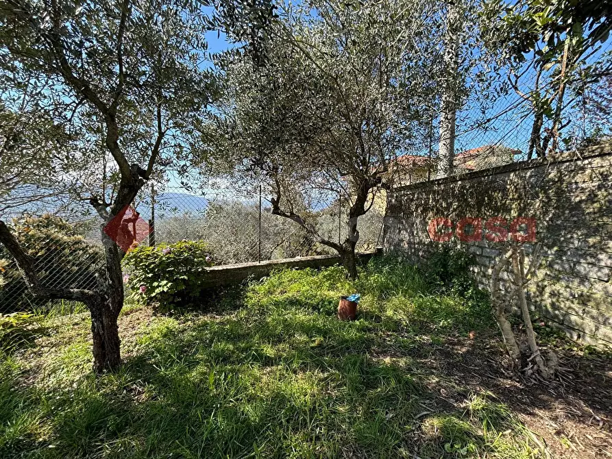 Immagine 5 di Casa indipendente in vendita  in Strada Vicinale San Vincenzo, snc a Anagni