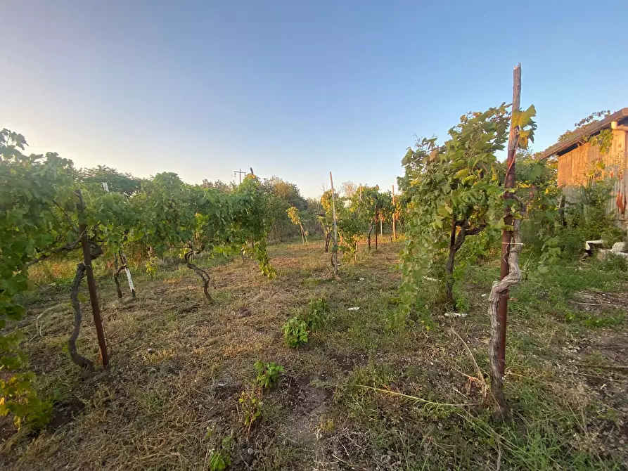 Immagine 5 di Terreno agricolo in vendita  in Via Luigi Palmieri, 37 a San Sebastiano Al Vesuvio